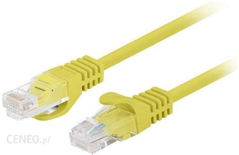 Patchcord Kat Utp M Ty Fluke Passed Lanberg Pack Opinie I