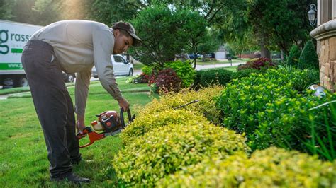 Trimming Perlamaintenance