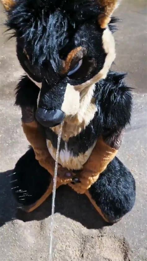 Another Fursuit Piss Video