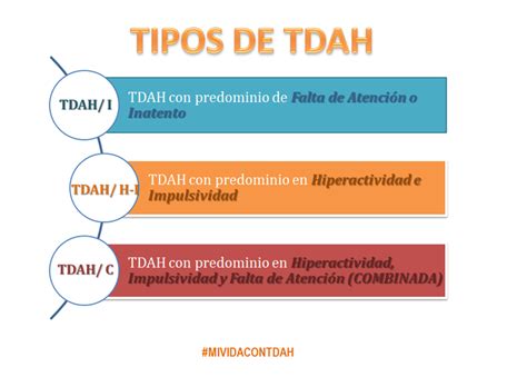 ¿cuáles Son Los Tipos De Tdah Mi Vida Con Tdah