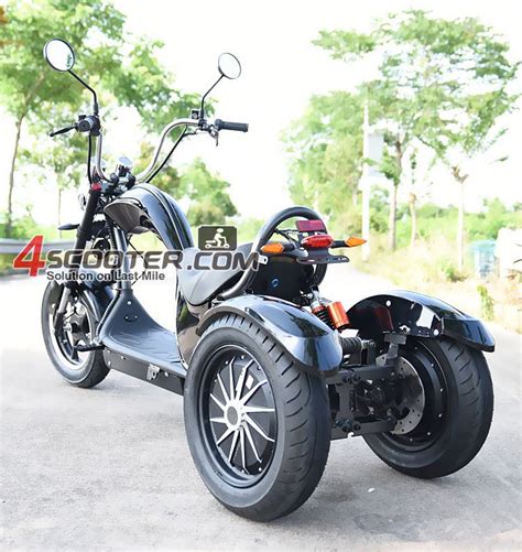 Wholesale 4000W Powerful Fat Tire 3 Three Wheels EEC Dual Motor China