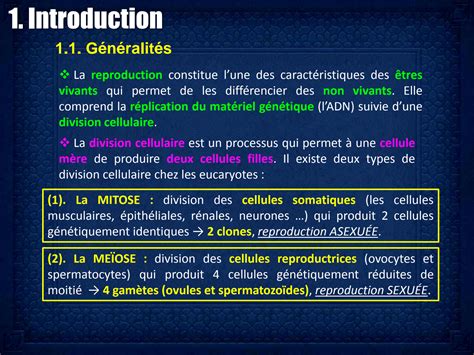 SOLUTION Cycle Cellulaire La Mitose Studypool