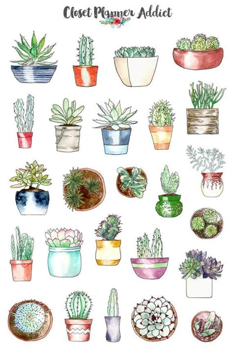 Vintage Aesthetic Succulent Aesthetic Stickers Best Succulent Ideas