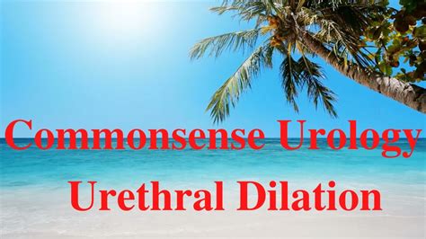 Commonsense Urology Urethral Dilation Youtube