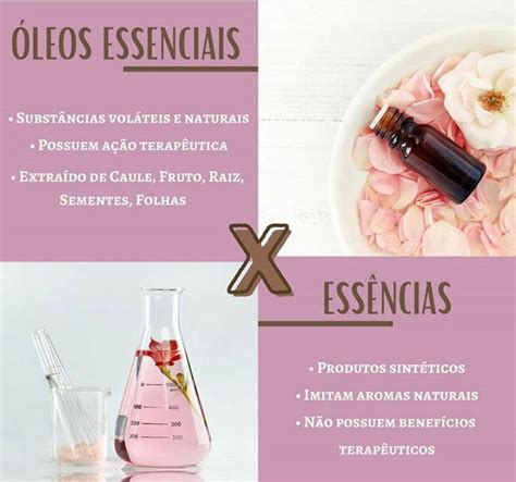 De nada Parte Cuarto oleos essenciais beneficios comestible Más que ...