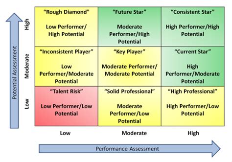 Limited Potential Does Not Limit Options Use The 9 Box To Develop