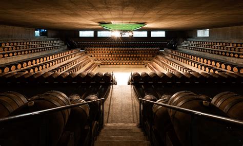 Architetto In Cantina Visite Alle Cantine Di Design La Gatta Sul Tetto