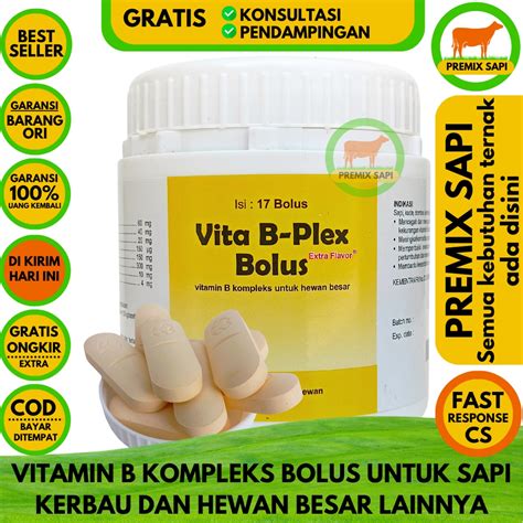 Jual Vita B Plex Bolus Pot Vita B Plex Bolus Vita Bplex Bolus