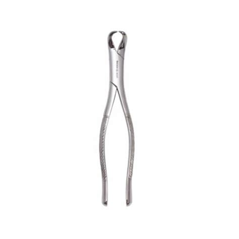 Forceps N Para Molares Inferiores Cuerno De Vaca Carl Martin