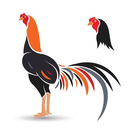 Gallo De Pelea Vector Png - Kal-Aragaye