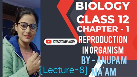 Reproduction In Organisms How Organisms Reproduce External And