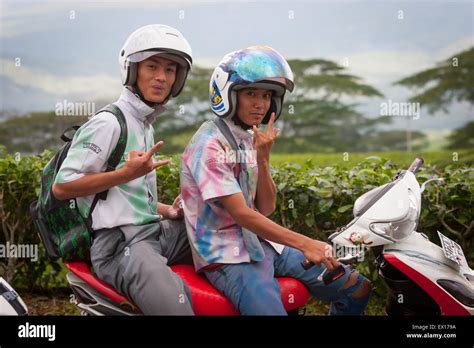 Portrait of high school students as they are celebrating school graduation by riding through tea ...