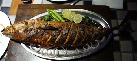 Рыба барракуда: описание, фото, где обитает, размер, вес, скорость ...