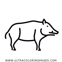 Dibujo De Jabali Para Colorear Ultra Coloring Pages