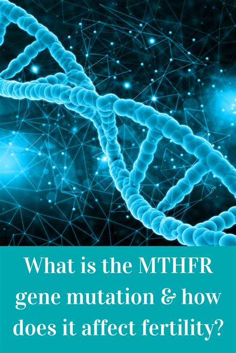 What Is The Mthfr Gene Mutation And How It Can Affect Your Fertility