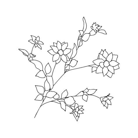 Premium Vector Flower Line Art Minimalist Contour Drawing Line Art