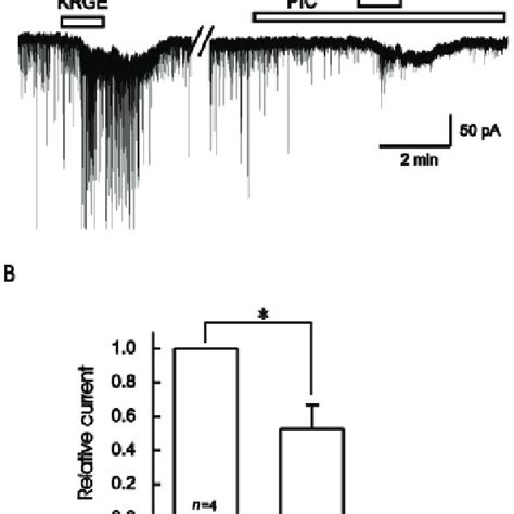 The Korean Red Ginseng Extract Krge Induced Inward Currents Were