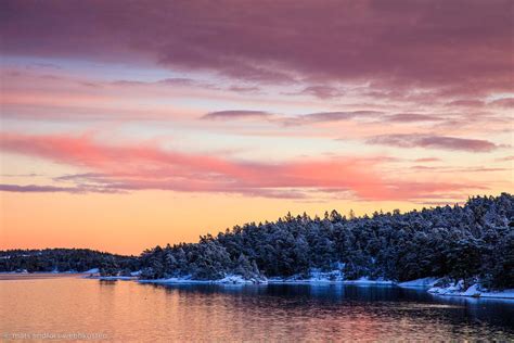 Fotokonst Natur Sk Rg Rd Kylig R D Solnedg Ng Vinter I Sk Rg Rden