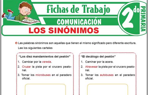 Ejercicios De Sinónimos Para Segundo Grado De Primaria 47 Off