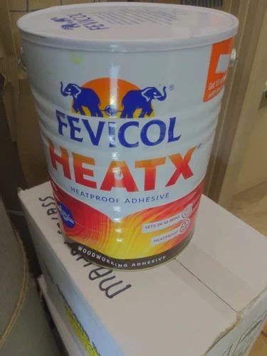Fevicol Adhesive - Fevicol Wholesaler from Ernakulam