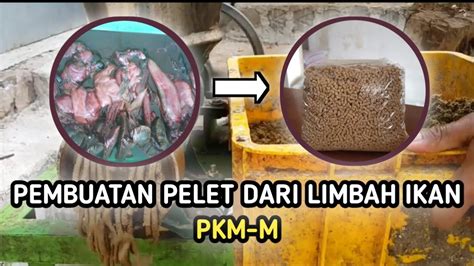 PEMBUATAN PELET DARI LIMBAH IKAN PKM M UNIVERSITAS MEDAN AREA YouTube