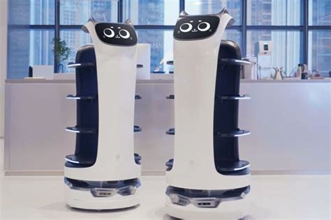 Chinese Company Introduced A Robot Cat Waiter The Internet Protocol