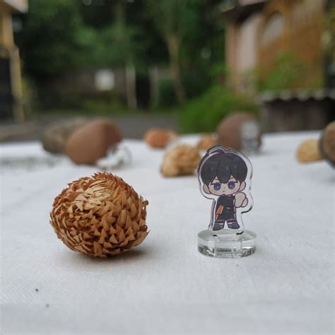 Jual Mini Acrylic Standee Hinata Shoyo Kageyama Tobio Miya Twins