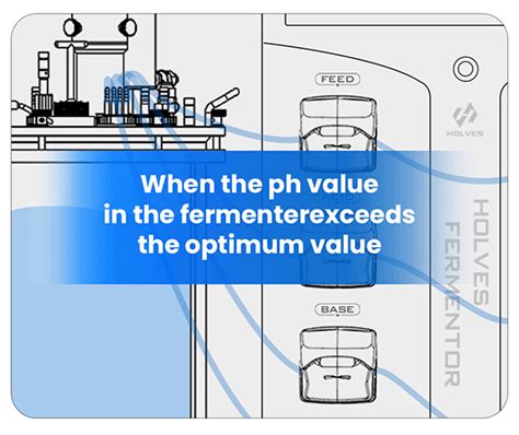 Holves丨laboratory Fermenter Operation Principle——regulation Of Ph