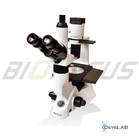 Microsc Pio Invertido Trinocular Contraste De Fase Bivolt Mod
