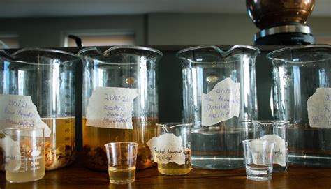 Trying to Make Amaretto Disaronno - Miss Brewbird