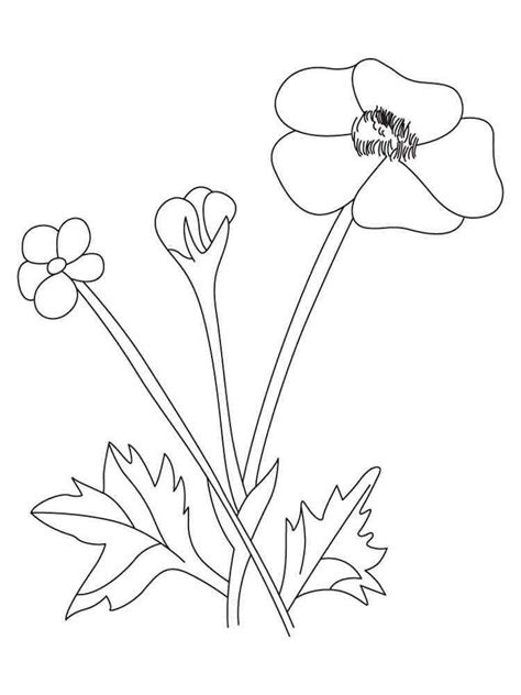 Buttercup Coloring Pages For Teens Coloring Pages