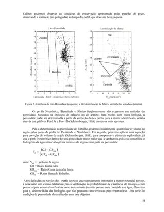 Introdu O Perfilagem De Po Os Pdf