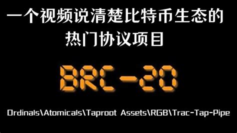 一个视频说清楚比特币生态的热门协议项目BRC20ARC20OrdinalsAtomicalsTaproot AssetsRGB