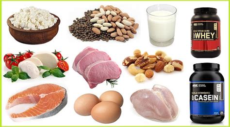 Four Protein Types That You Should Have - Bodydulding