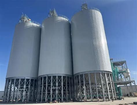 Ton Corn Wheat Paddy Rice Silo Prices Steel Silo Turnkey