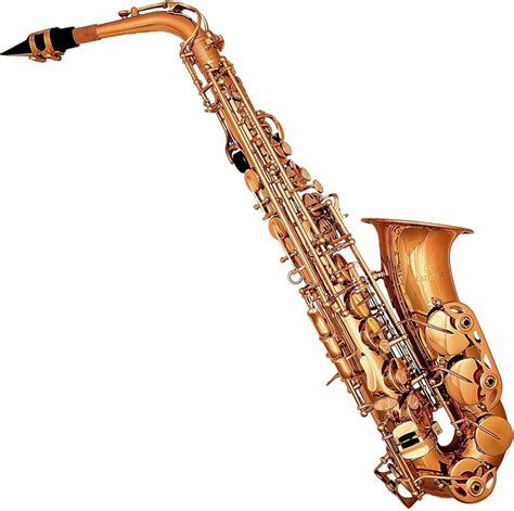 Brass E Flat Alto Saxophone, 45% OFF | www.lavkastariny70.ru