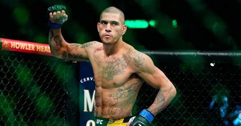 alex pereira ufc  potentially   fighter  mma uk