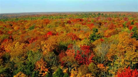 Muskoka Fall Colours [Video] | Muskoka, Videographer, Wedding videographer