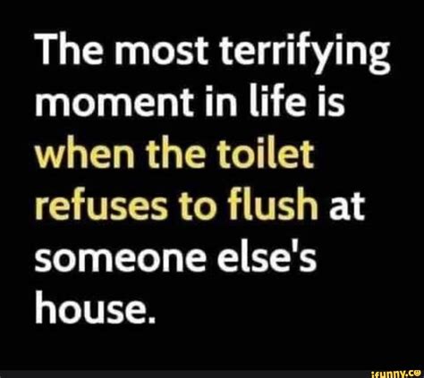 The Most Terrifying Moment In Life Is When The Toilet Refuses To Flush