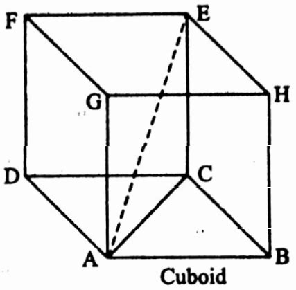 Wbbse Solutions For Class Maths Mensuration Chapter Rectangular