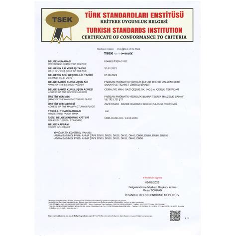 Tse Certificate Pnosan Steam And Flow Control Equipment