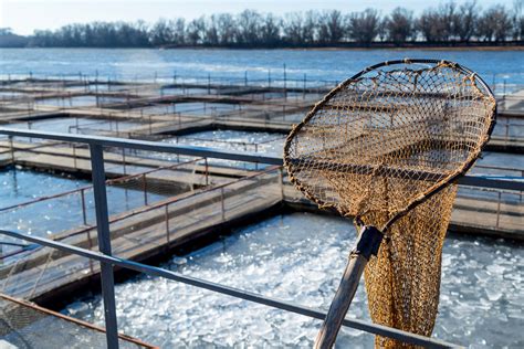 Asc Consults On New Standard Fish Farmer Magazine