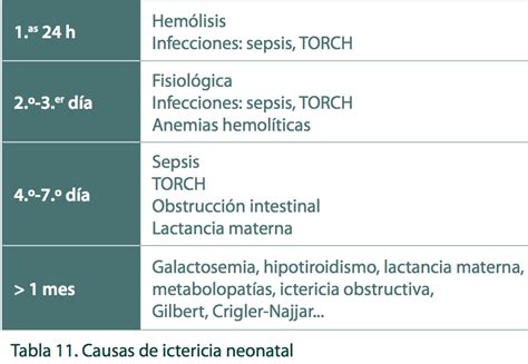 Ictericia Neonatal Mind Map