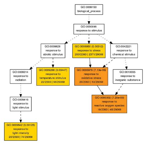 Biological Process Network Of Over Representative Go Terms Of