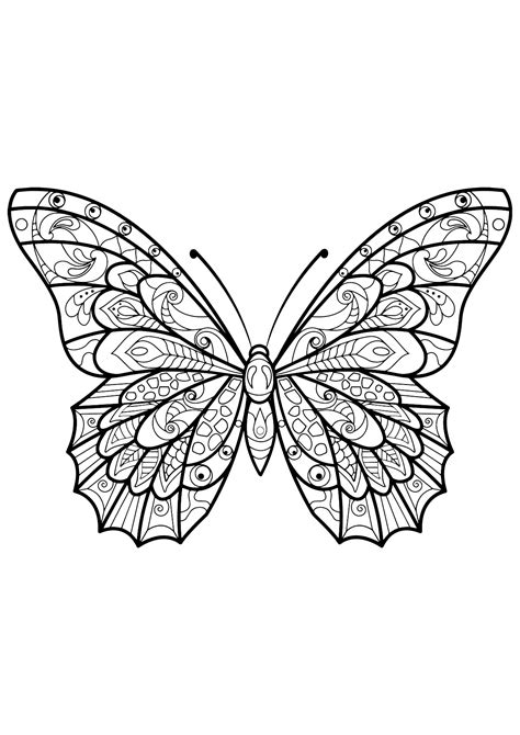 Papillon Jolis Motifs Coloriage D Coloriage Papillon Dessin Porn Hot