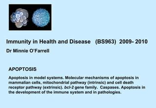 Bs963 apoptosis 09-10 | PPT | Free Download