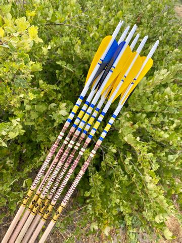 Gold Tip 340 Traditional Classic XT Arrows – Addictive Archery