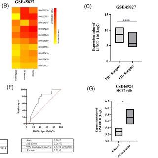 LINC01116 Is Differentially Expressed In ER And ER Breast Samples