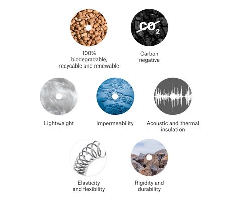 Why Cork? The properties of this material in the push for circularity