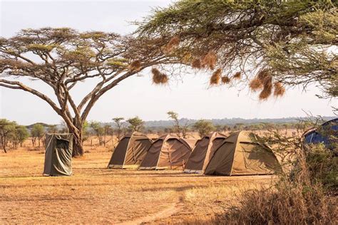 3 Day Camping Safari Tanzania | 3 Days Tanzania Camping